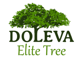 Texas Land Cleaning and Tree Recycling logo