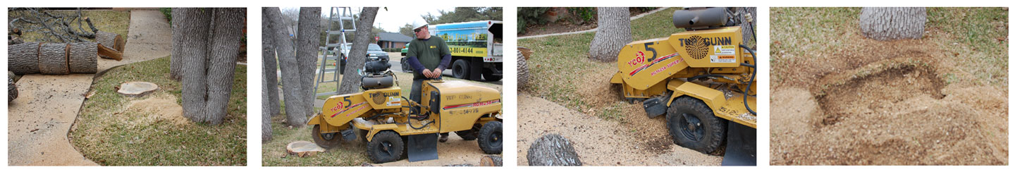 stump grinder for stump removal